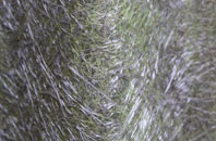 Lower Westmancote fibreglass roof work